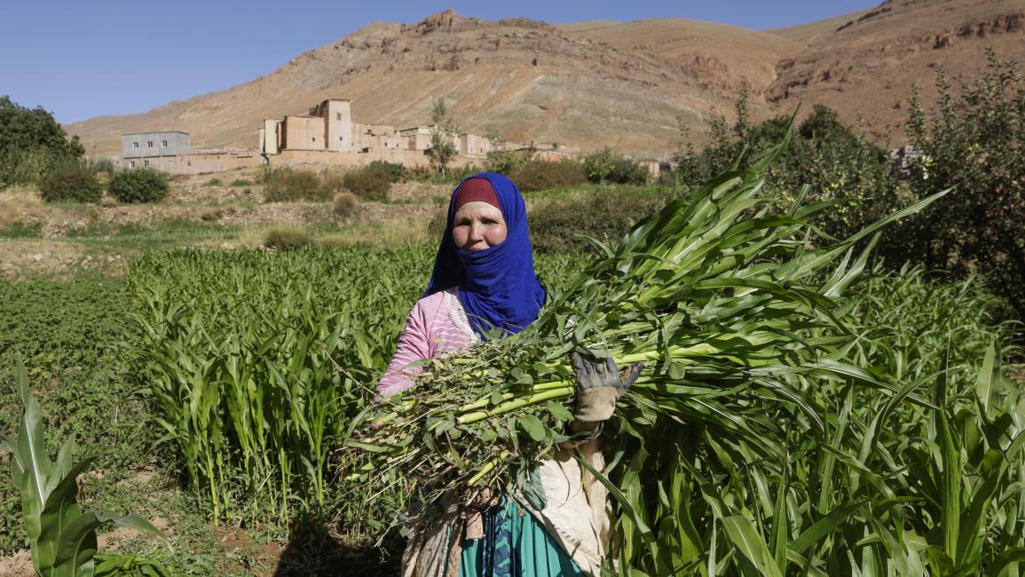 ينشغل المغاربة بالظروف المناخيّة الاستثنائية التي تشهدها المملكة في الفترة الأخيرة، إذ أفضت التساقطات المطرية القياسية إلى إنعاش الآمال في طي صفحة سنوات الجفاف التي تسببت في تراجع حاد في المحاصيل وقطيع الماشية، بما لذلك من تأثير على النمو الاقتصادي.